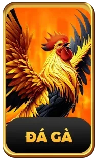 Sảnh đá gà trực tiếp LOTO188